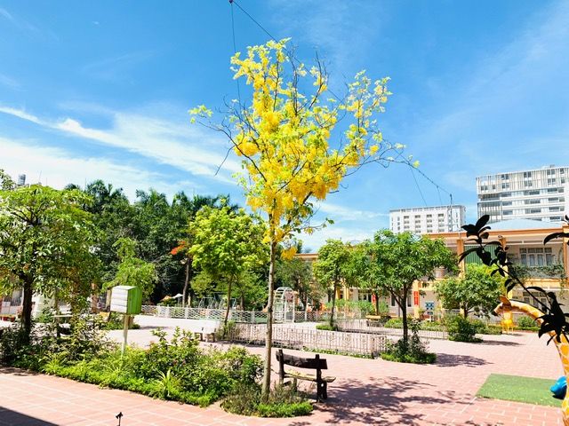 2021_07_14_13_22_332