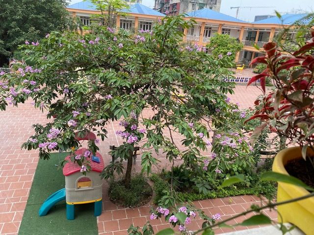 2021_07_14_13_22_336